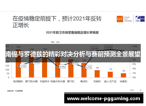 南锡与罗德兹的精彩对决分析与赛前预测全景展望