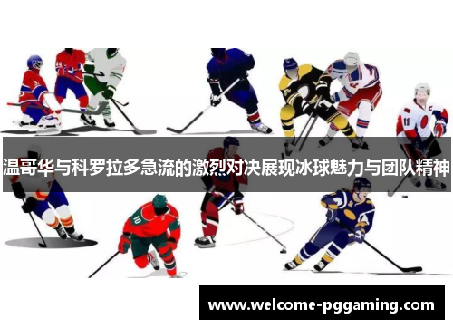 温哥华与科罗拉多急流的激烈对决展现冰球魅力与团队精神