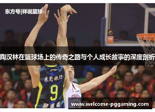 陶汉林在篮球场上的传奇之路与个人成长故事的深度剖析